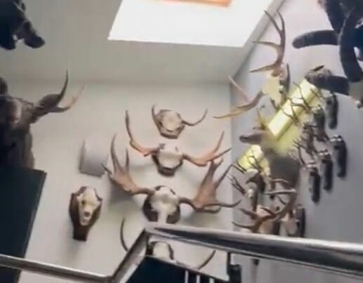 The communal hallway in the multi-apartment building in Moscow was "decorated" with stinking heads of dead animals