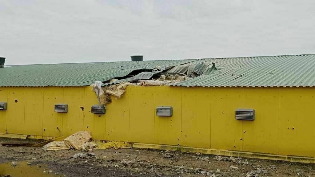 Poultry farm near Belgorod came under fire