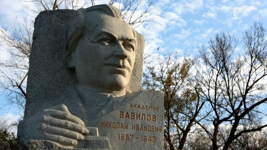Monument devoted to Vavilov at the Saratov cemetery.