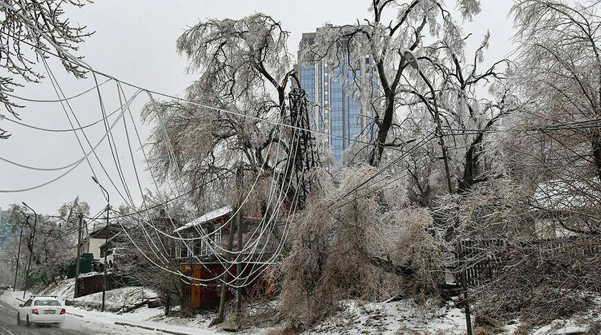 Cyclone left the infectious diseases center in Vladivostok without electricity