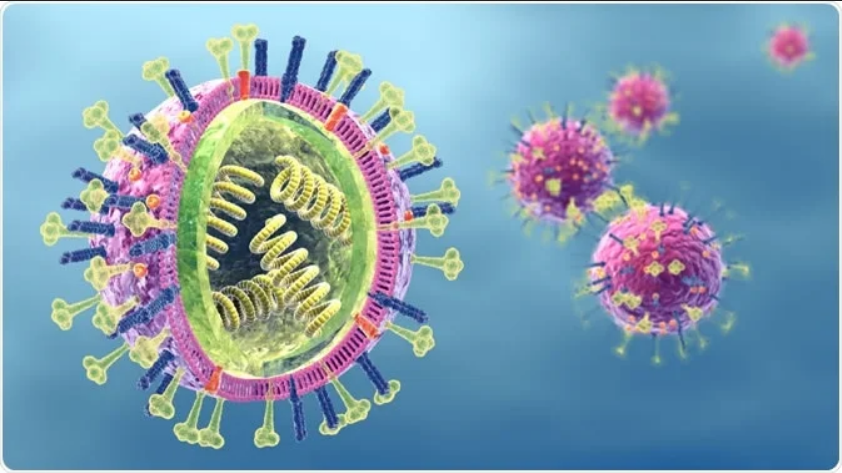 Universal vaccine against 20 strains of influenza tested in the US