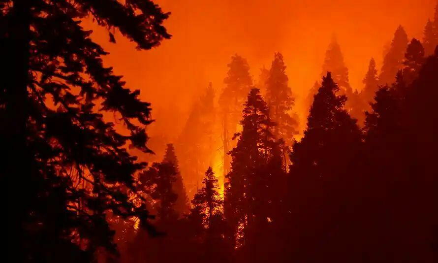 Harvard scientists link wildfires to covid deaths