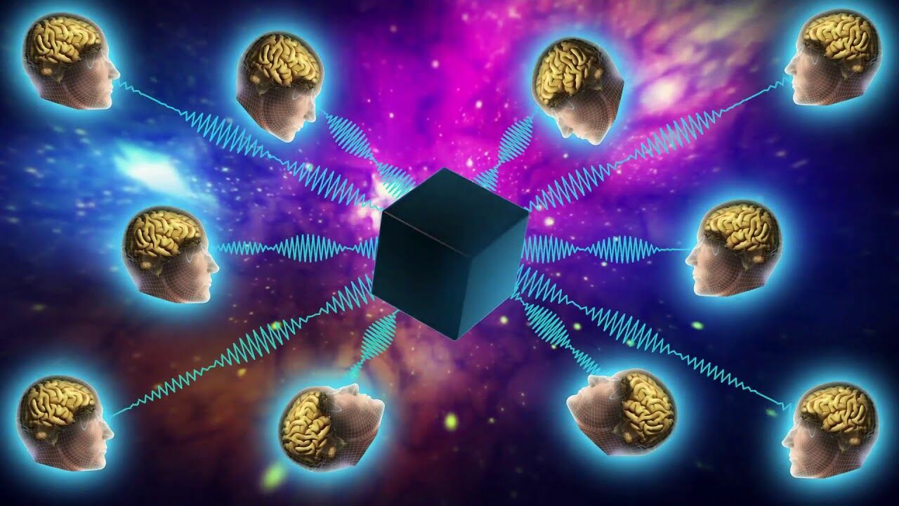 Collective thinking is real: scientists have proven the existence of hivemind
