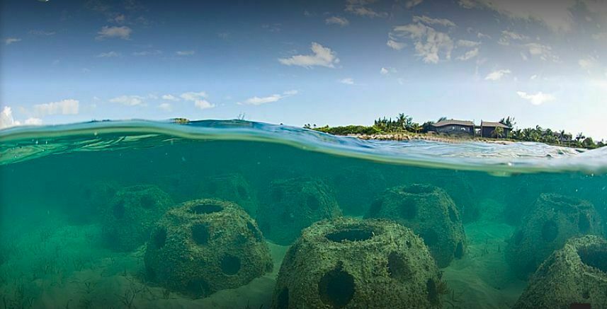 Every person is a coral: the trend for burials in reef balls has come to the West
