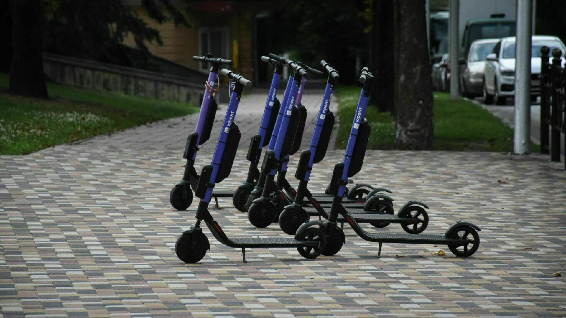 Half of Russians support the ban on electric scooter racing