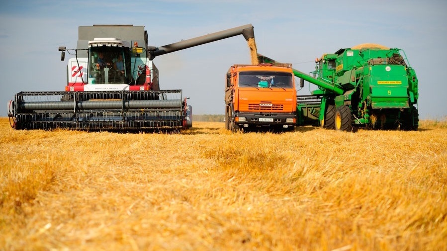 Harvest of 2023: experts talk about a decrease in volumes and an increase in prices
