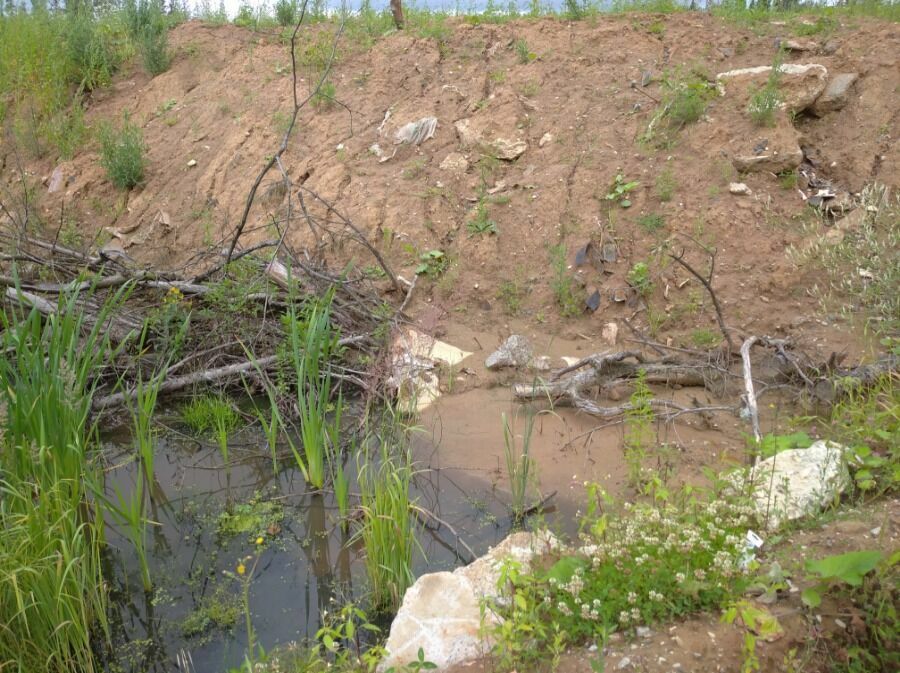 Фильтрат, вытекающей с незаконной свалки строительного и бытового мусора в районе поселения Первомайское (ТиНАО)