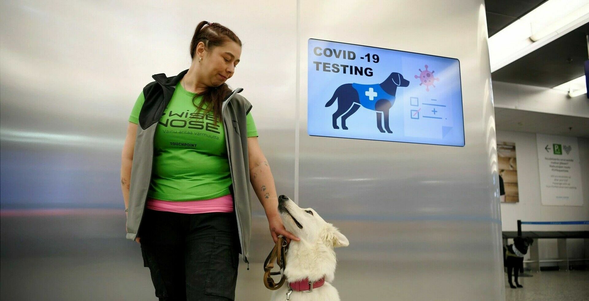 Dogs trained to recognize patients with coronavirus started to work at Helsinki airport