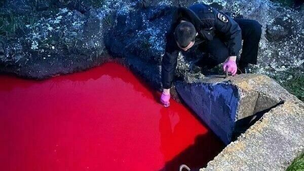 Unknown persons spilled a red liquid with a pungent chemical smell near the Belgorod village