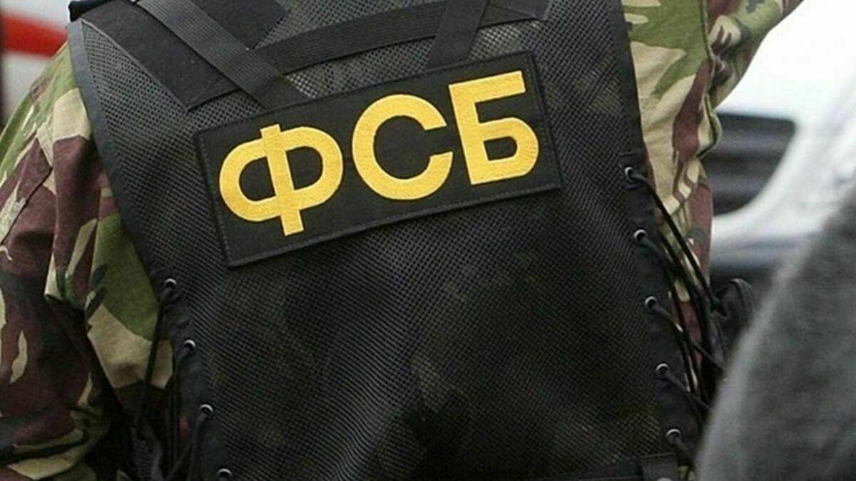 The FSB reported on a "massive strike" against saboteurs in the Bryansk region