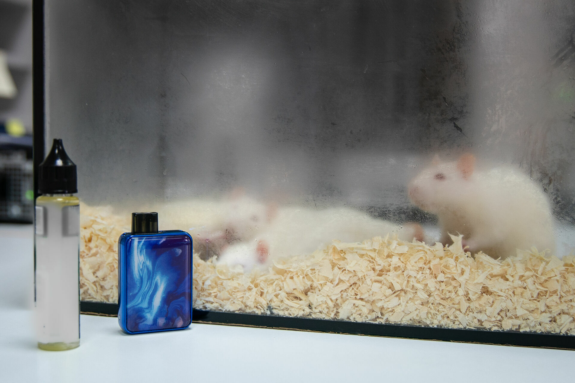 White rats show how vapors from e-cigarettes destroy lung tissue
