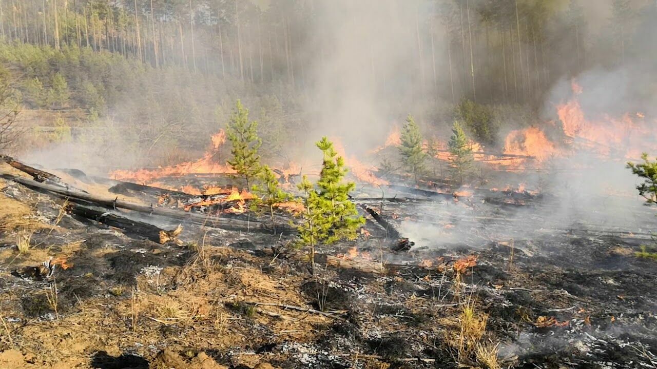European observers: Siberian taiga is burning at a record pace today