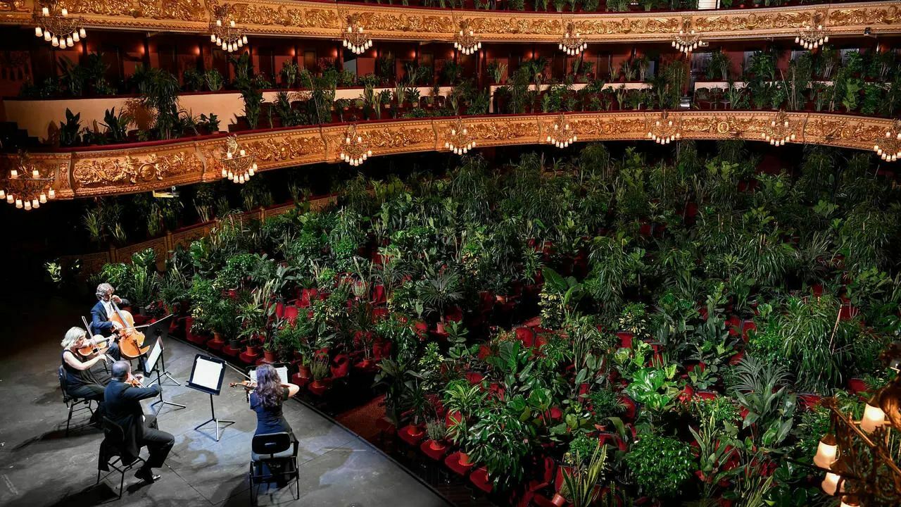 Video of the day: Barcelona Opera House played a concert for the trees