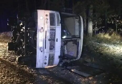 11 people were injured in the bus accident in the Nizhny Novgorod region