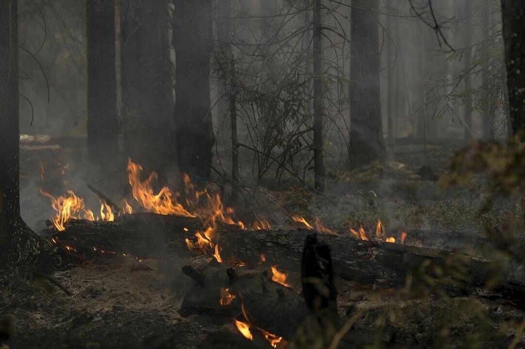In the Nizhny Novgorod region and Mordovia, an emergency regime was introduced in connection with fires