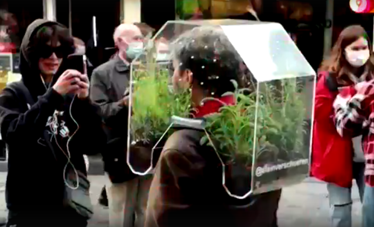 Video of the day: a Belgian protected himself from covid with a greenhouse on his head