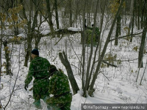 Harvesting firewood is perhaps the most important thing in winter. https://nepropadu.com 