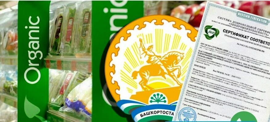 Counterfeit products in shop windows. Why the organic food law never worked in Russia