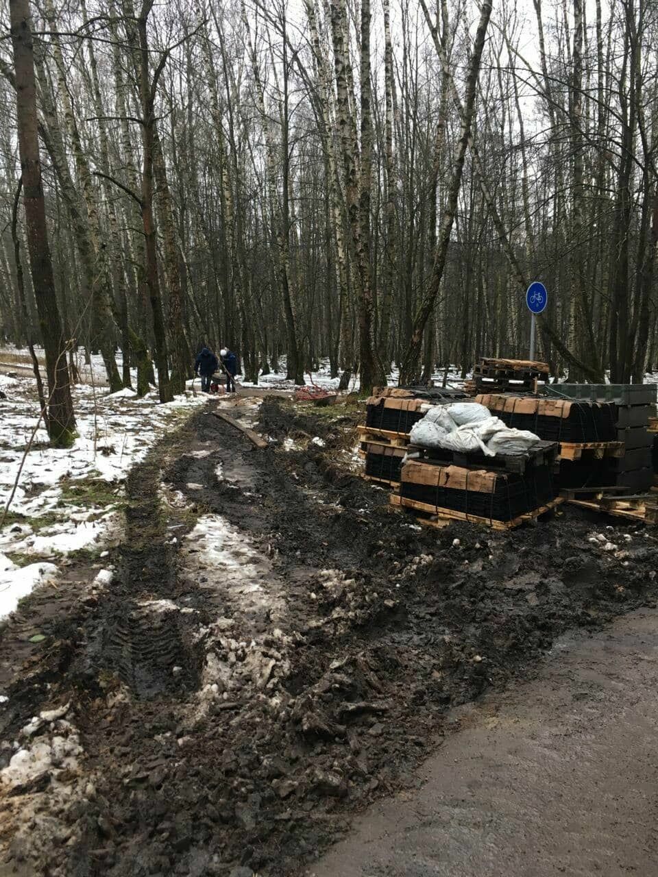 For 100 million rubles in Bitsevsky forest will "beautify" all living things