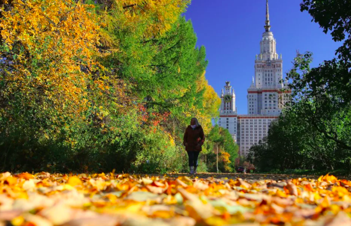 Central Russia: only two days left until the end of Indian summer