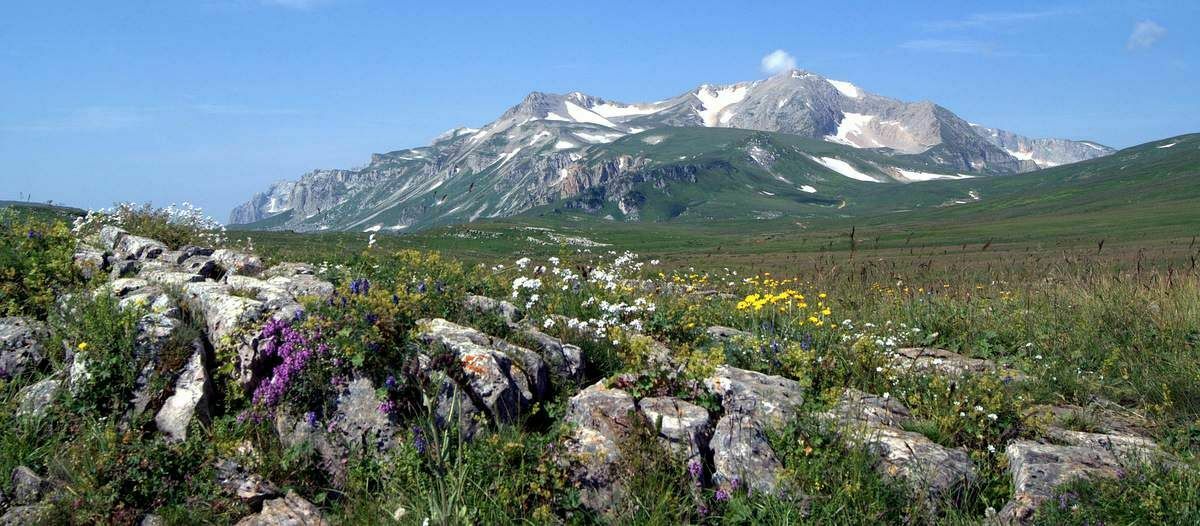 "They deceived everyone!" The government decided to build up a biosphere reserve in the Caucasus