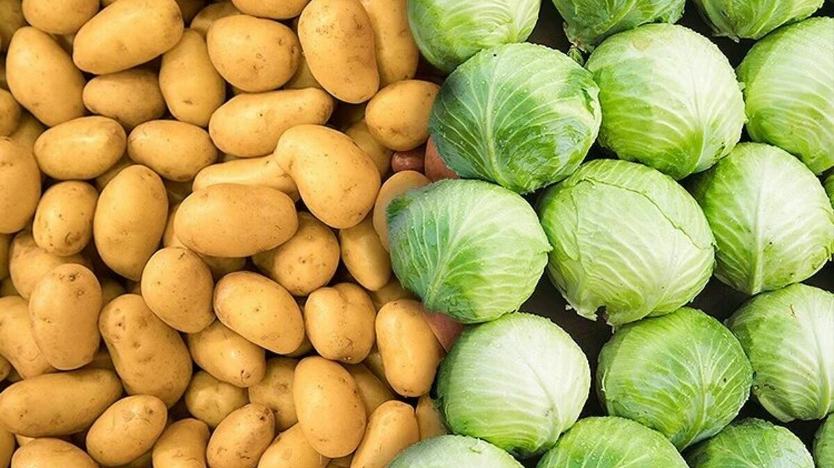 Potatoes and cabbage rose in price by 70%