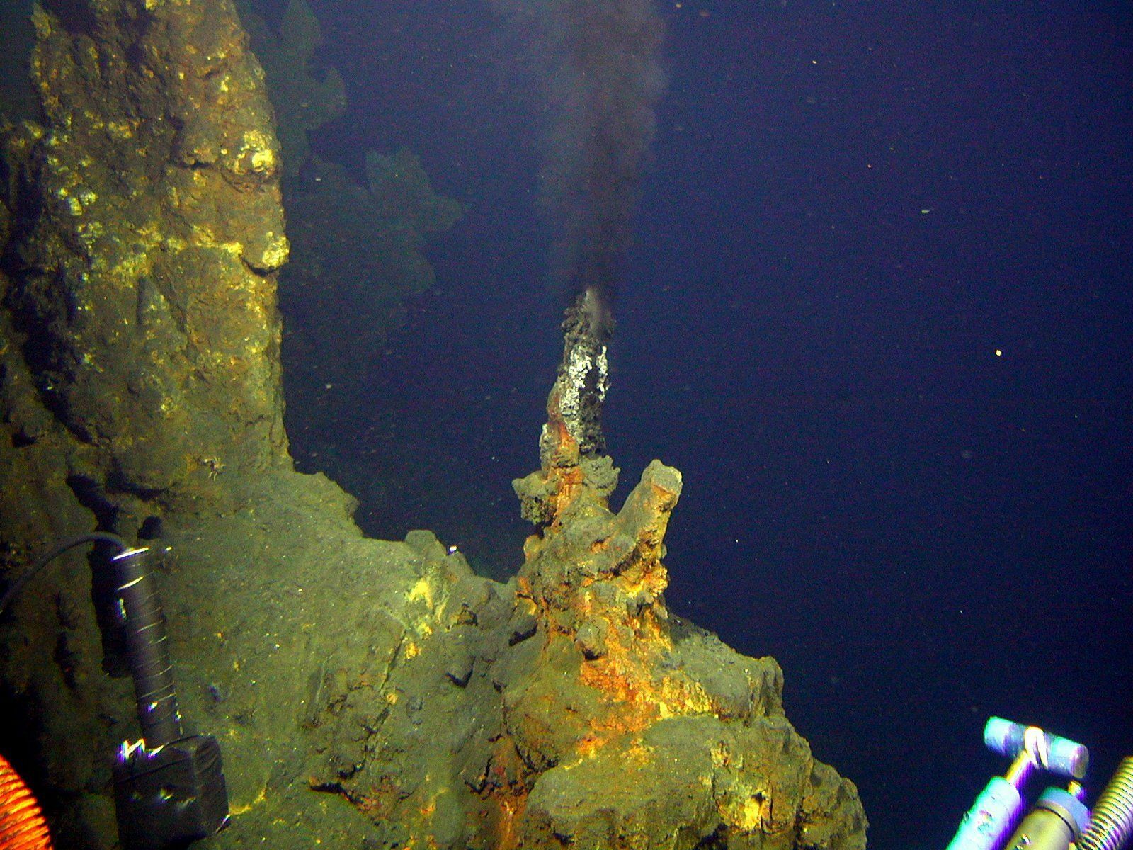 Scientists have discovered unknown life forms that live in volcanoes