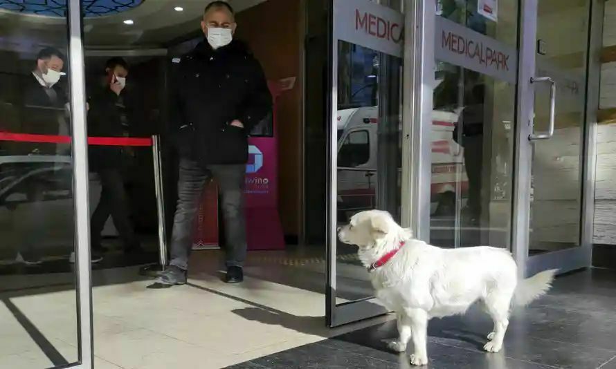 The dog waited for the owner at the hospital door for a week