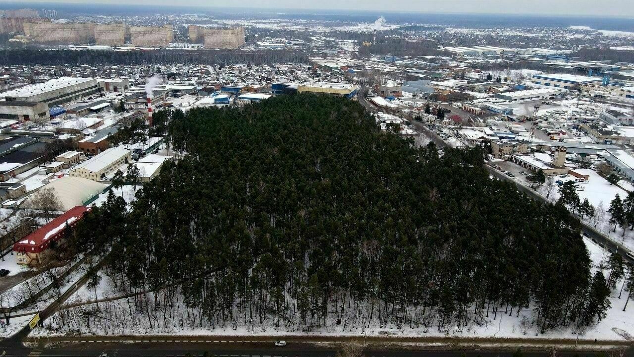 What can be seen behind the trees: forests and parks are being cut down in Russian cities