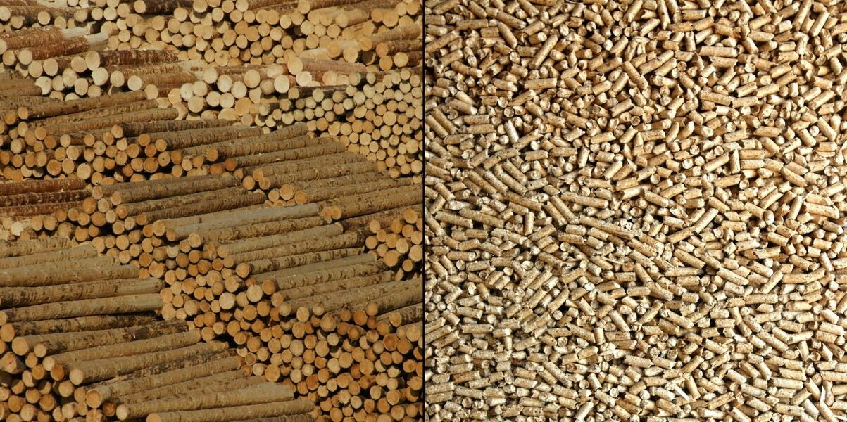 Fuel pellets for heating boilers and fireplaces can have different shapes and be made of different raw materials.