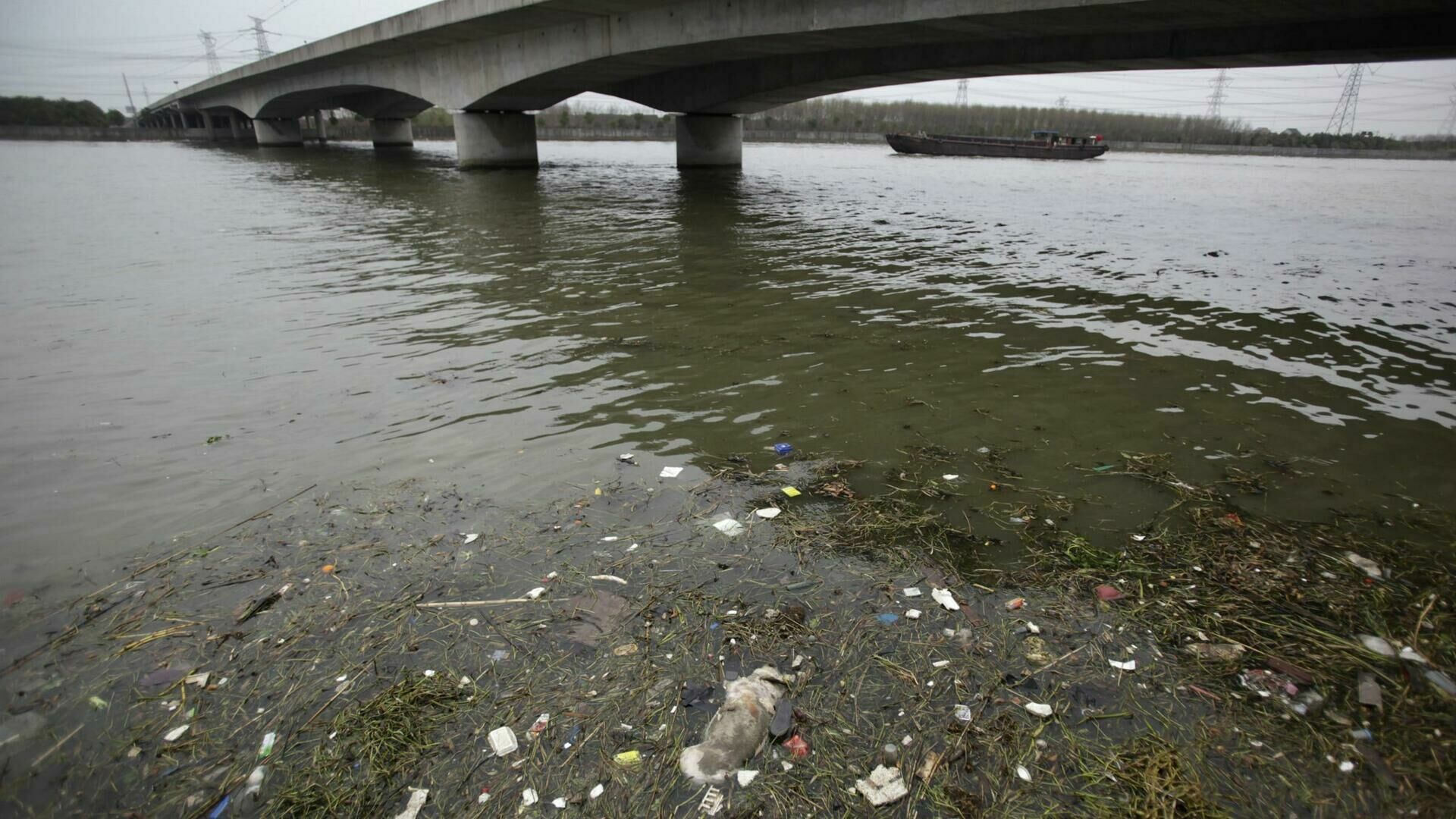 Not possible to have a drink beside the river: why water in Russia has become life-threatening