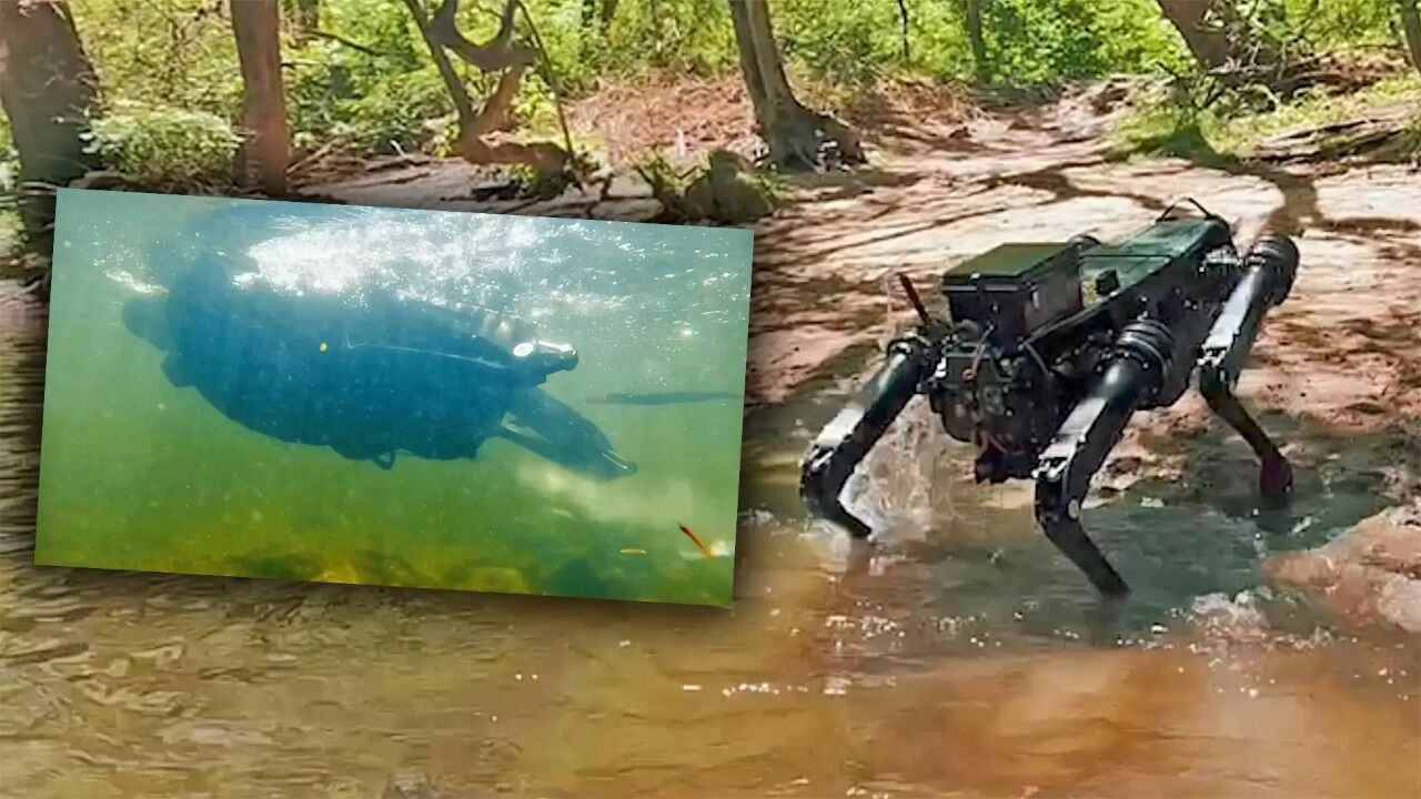 Robot dog was taught to swim and reading minds