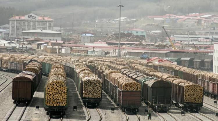From whence is the firewood? China has become a leader in the supply of timber to the USA and Europe