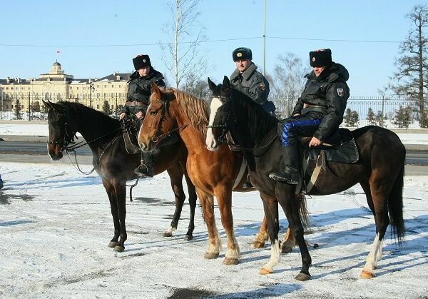 The authorities will attract Cossacks to protect nature