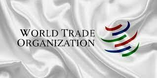 To leave or not to leave? What will be the consequences for Russia in the case of withdrawal from the WTO