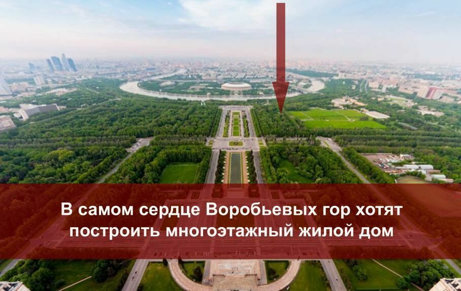 Nothing sacred! Developers have already encroached on the green zone of the Moscow State University