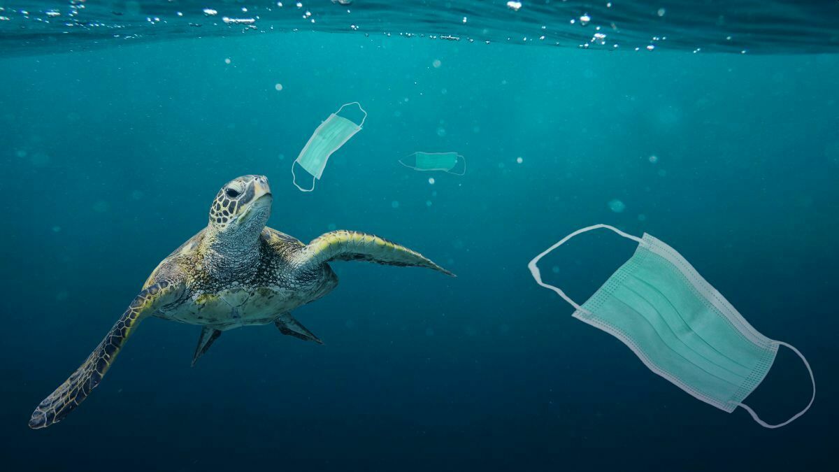 26,000 tonnes of covid plastic waste has ended up in the oceans