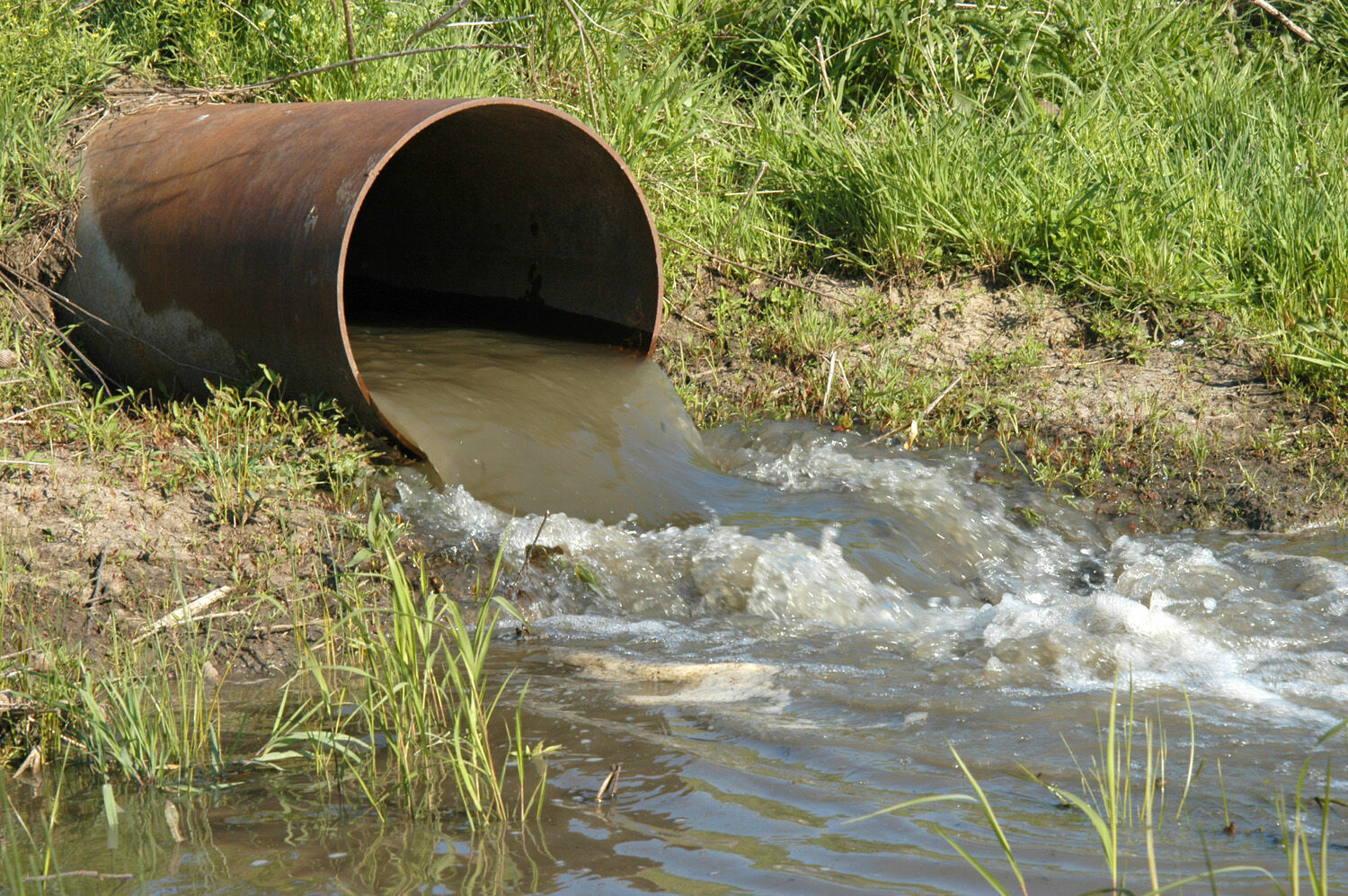 The quality of Moscow water is under threat due to the massive development of Zvenigorod