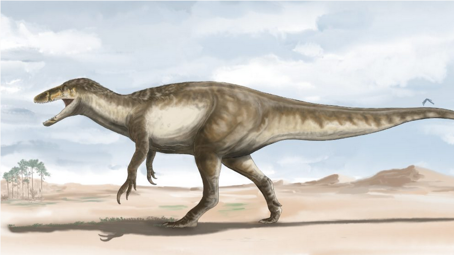 10 meters, 5 tons: a new predatory dinosaur discovered