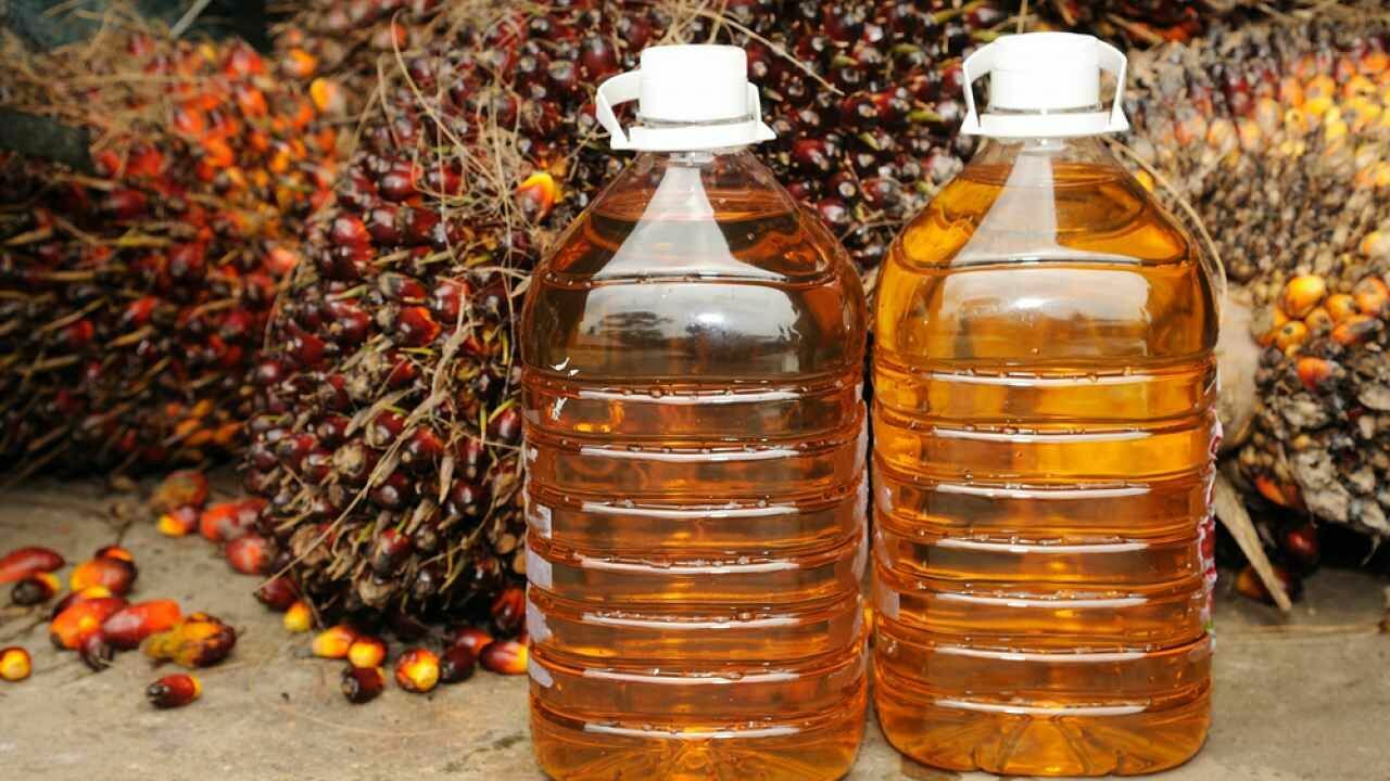 Question of the Day: Will Indonesia's ban on palm oil exports cause a crisis in Russia?