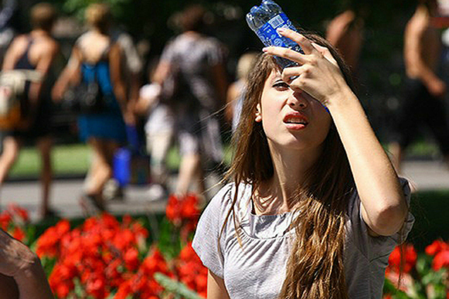 Hydrometeorological Center predicts the all-time hot summer in Russia