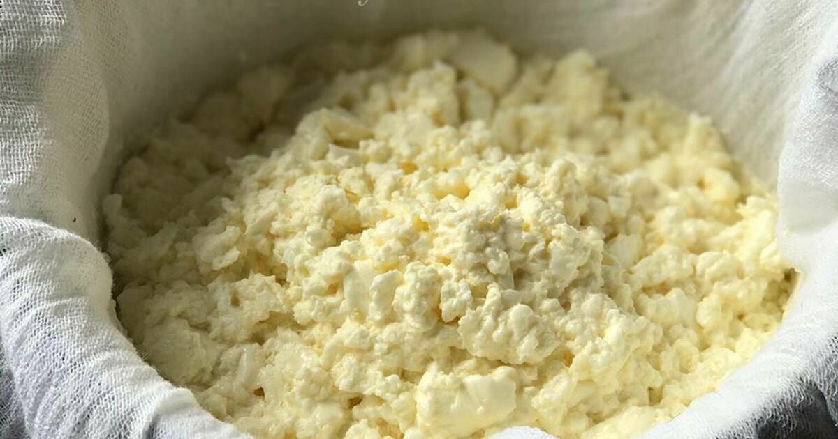 Rosselkhoznadzor banned supplies of Belarusian cottage cheese