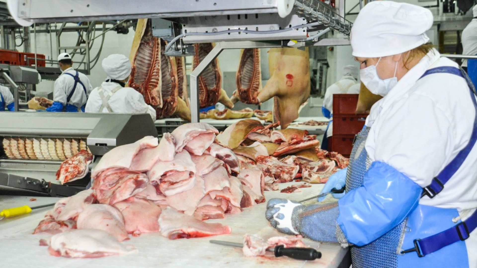 The reasons for the increase in prices for pork and turkey are named