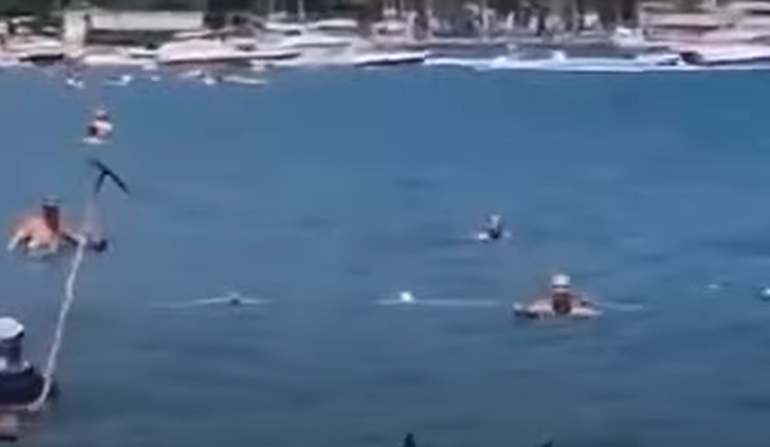 Vacationers in Turkey fought off a shark with a mop (video)
