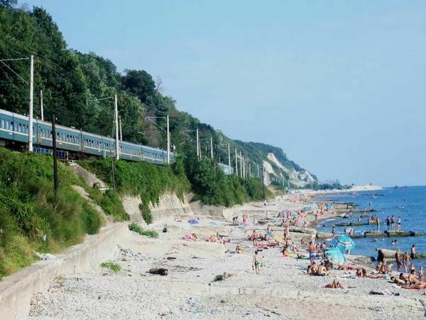 A thousand rubles from every Russian: why build a new railway in Sochi?