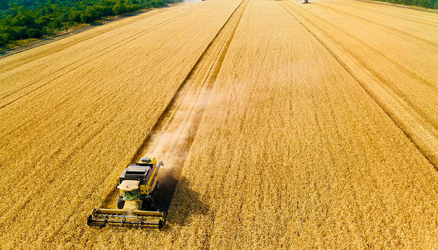 Head of the Grain Union: Wheat yield in Russia may halve in 5 years