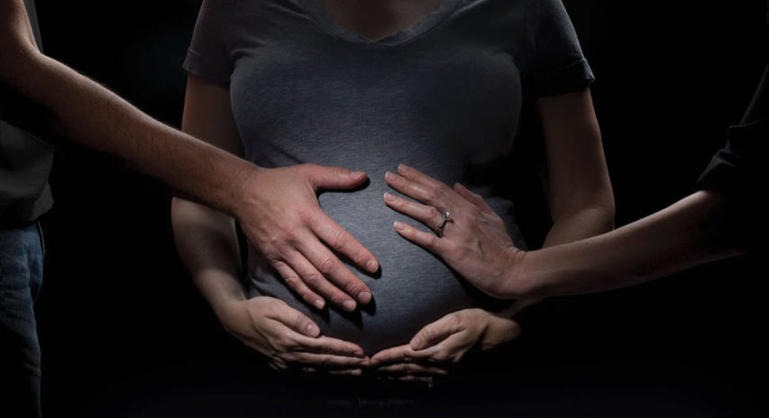 The authorities supported the ban on surrogacy for citizens of other countries