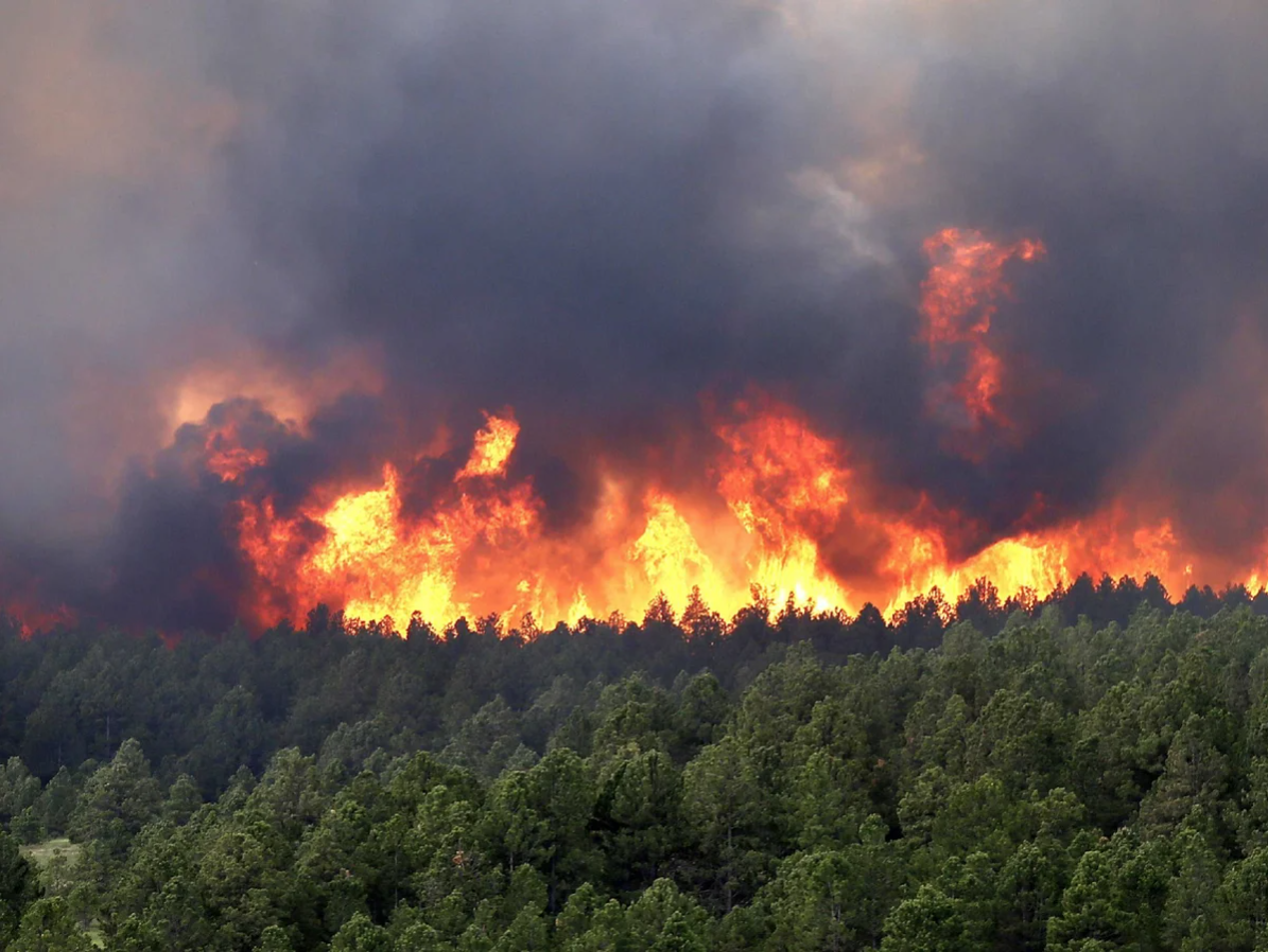 Fiery May 2022: Wildfires threaten national security