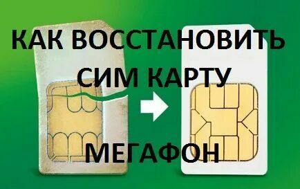 Don't let your soul be lazy! How singer Alyosha Paltsev tried to change Megafon's SIM-card