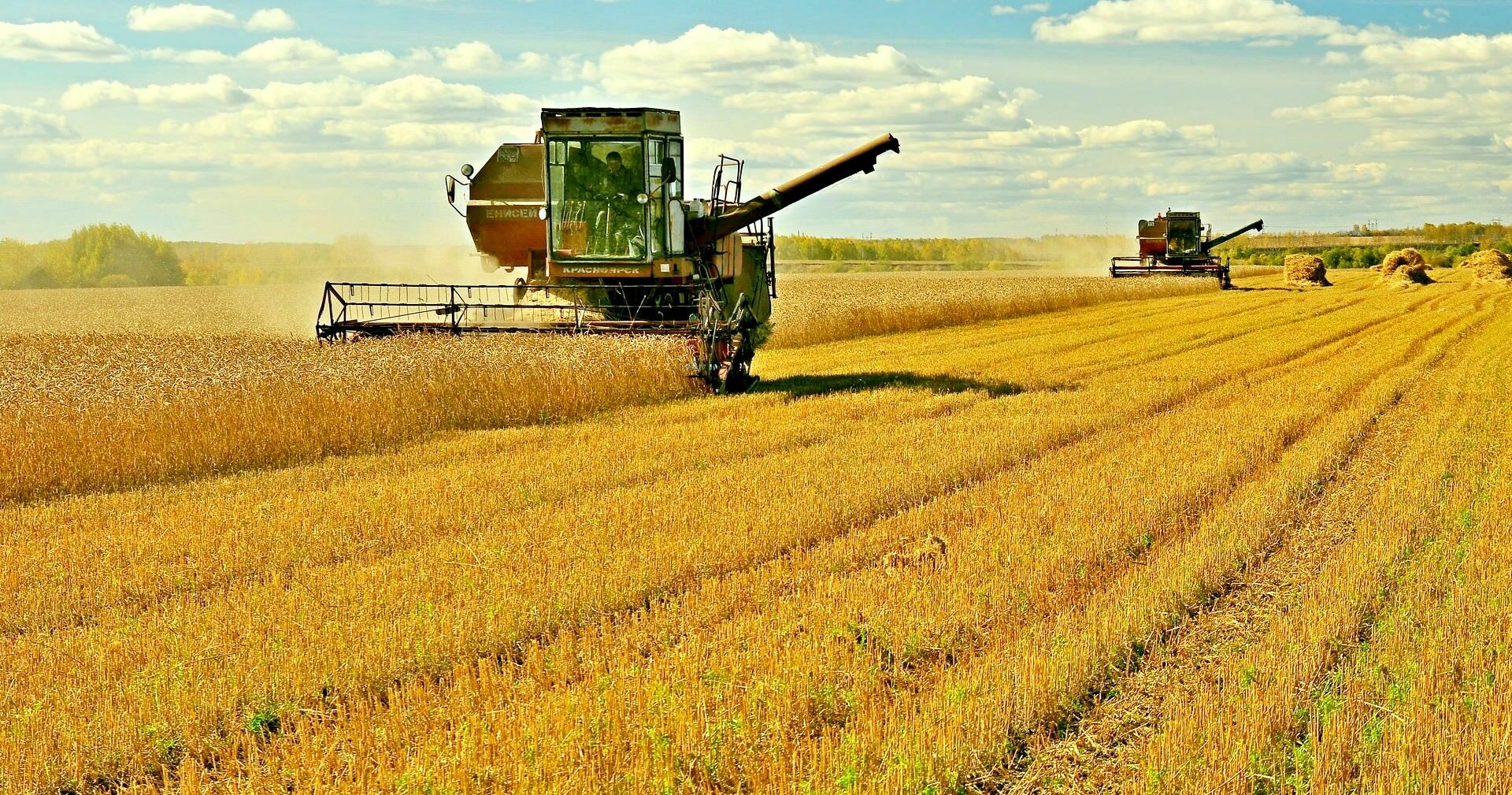 Russia was able to do what the USSR could not: grain yield in 2020 breaks all records